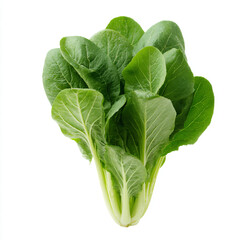 Obraz premium a bunch of green vegetables on a white surface