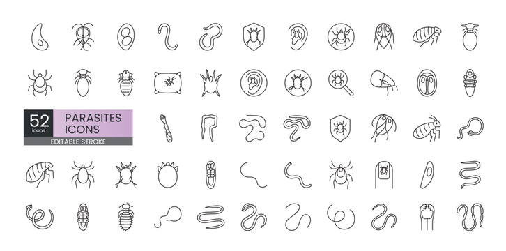 Set of 52 editable stroke parasite line icons including fleas ticks worms mites and protozoa perfect for veterinary apps infographics and medical projects