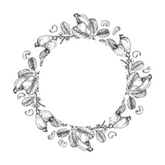 Cashew branch wreath with fruits and seeds. Hand drawn ink vector illustrations. Template for label design of vegetarian products, desserts and nuts