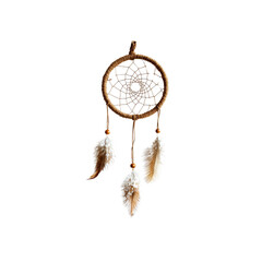 Obraz premium Dreamcatcher with Beige Feathers on Black Background