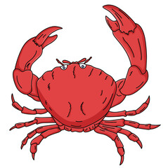 Cute cartoon hand drawn vector crab clipart.