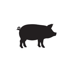 Cute Pig Clear Feature Design