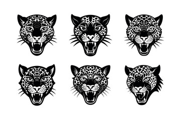 mad leopard face on white background