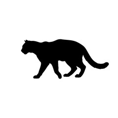 Obraz premium Wlid Cat silhouette vector flat illustration design.