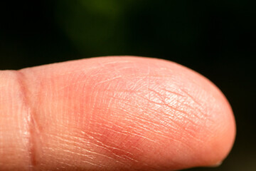 Close-up action of finger touching surface outdoor environment macro nature concept