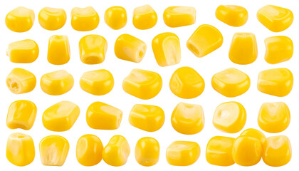 Healthy yellow corn on white background
