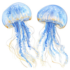 Fototapeta premium jellyfish on blue background