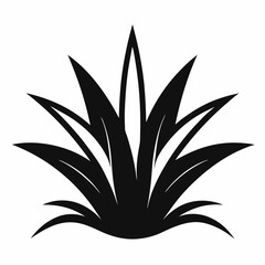 Cymbopogon silhouette icon on white background