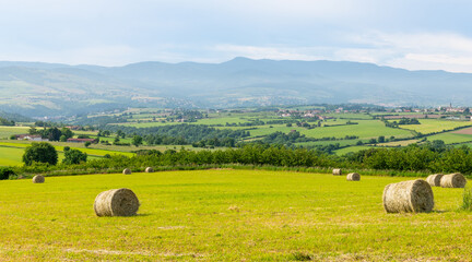 A field with bales of straw in the Monts du Lyonnais, in Auvergne-Rhône-Alpes, France