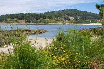 quiet beaches with crystal-clear water in Galicia