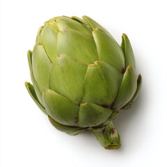 Fototapeta premium a green artichoke on a white surface
