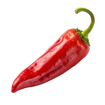 Piment d'Espelette isolated on white background highlighting bold French chili with warm aroma
