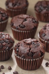 Chocolate Muffins are muffins with the aroma and taste of chocolate