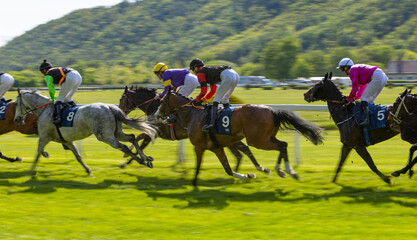 Group of jockeys compete to win the race. Horse racing. Horses with jockeys running towards finish...