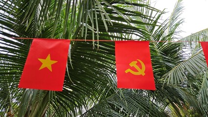 Vietnamese national flags hang between coconut palms at a tropical resort in Binh Thuan, Vietnam.