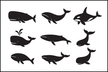 Fototapeta premium Diverse Whale Pose Silhouettes