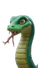 Obraz premium green lizard on white background