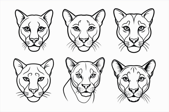 set of puma face line art vector.