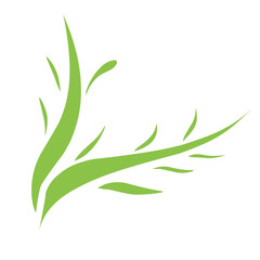 Nature Icon or Logo with Eco-Friendly Design for Environmental, Organic, and Green Concepts