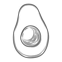 Black avocado slice with pit engraved style isolated on white background. Tropical summer fruit vector hand drawn illustration. Detailed food drawing for label, poster, print.