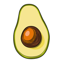 Colored avocado slice with pit isolated on white background. Tropical summer fruit vector hand drawn illustration. Detailed food drawing for label, poster, print.
