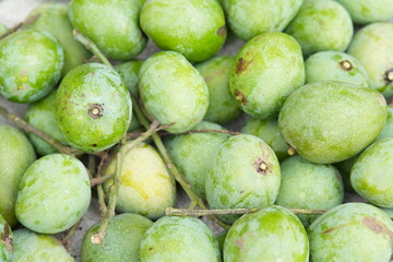fresh green mangoes