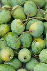 fresh green mangoes