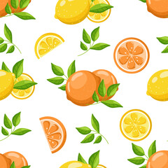 Citrus Seamless Pattern on White Background. Vector illustration