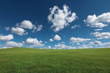 Obraz premium Expansive green field under a bright blue sky with fluffy clouds on a sunny day