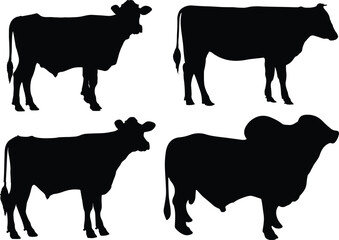 Black Silhouettes of Four Different Cattle Breeds in Various Poses. Cow and Calf Silhouette Vector Icon Collection