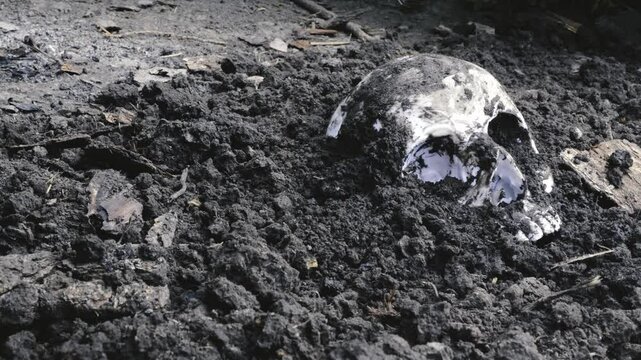 Excavated Human Skull protrudes from somber burial ground. Medium shot