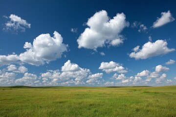 Obraz premium Expansive green landscape under a bright blue sky filled with puffy white clouds