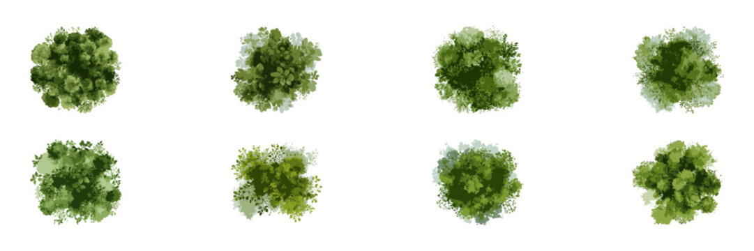 Top View Watercolor Bushes for Landscape and Park Planning. Sustainable Garden Elements for Environmental and Urban Green Projects. Isolated Vector Illustration