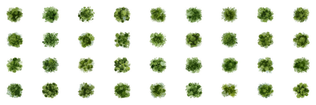 Architectural Elements Featuring Watercolor Bushes from Above. Green Planning Assets for Eco Landscaping and Urban Park Layouts. Isolated Vector Illustration