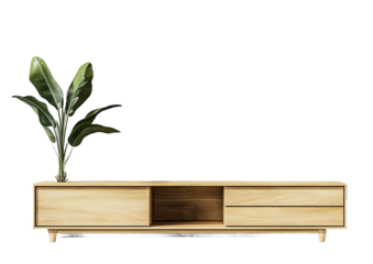 A modern wooden TV stand with drawers and a decorative plant on top.