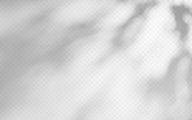 Obraz premium Abstract shadow overlay from foliage on a transparent background.