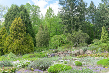 Cozy lawn in a botanical garden during spring. Abundant flowers and trees create a lush, vibrant atmosphere.