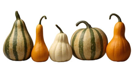 Three fresh orange pumpkins and squash isolated on a white background, perfect for autumn harvest, Halloween, or Thanksgiving decorations