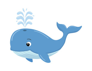 Cute blue whale spouting water swim in the ocean