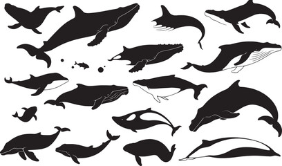 Fototapeta premium Marine Life Silhouettes: Whales and Dolphins in Black and White Vector Illustrations for Ocean Art and Conservation Designs