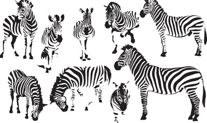Black and White Zebra Patterns: Stylized Wildlife Art and Animal Silhouettes for Safari Decor and Zoology Studies