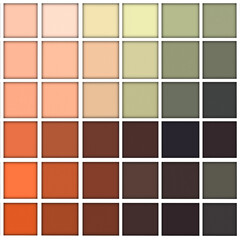 Elegant minimalist  brown earth tones, sample color swatches palette background.