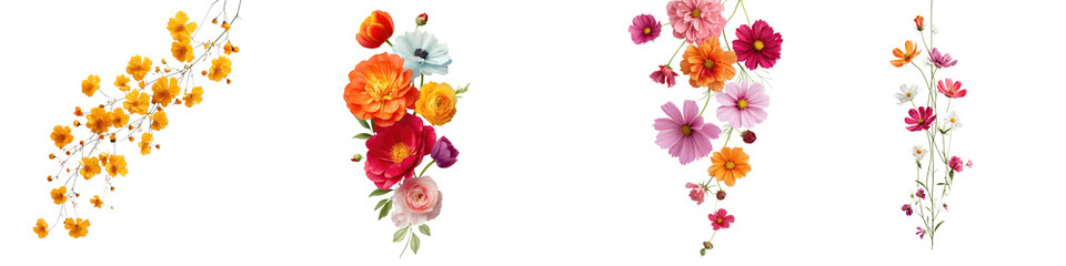 Obraz premium Vibrant floral bouquet against a white background