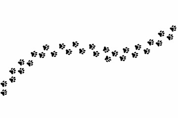 paw prints on white background , animal's paw prints, paw prints, paws print 