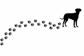 Silhouette of dog and paw prints on white background	