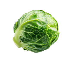 Fototapeta premium Fresh green Brussels sprout with vibrant leaves and detailed texture isolated transparency background. Perfect for healthy