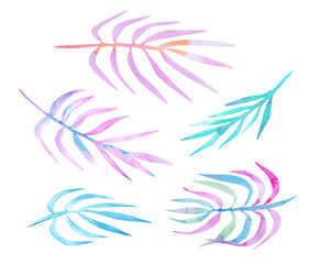 Watercolor pastel palm leaves set