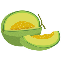 Vector image of Melon fruit with isolated white background and transparent