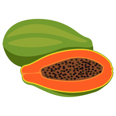 Vector image of Papaya fruit with isolated white background and transparent