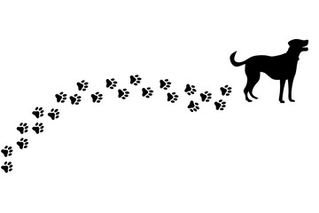 Silhouette of dog and paw prints on transparent background  © NadeAnamta